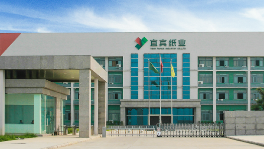 308玄机资料图大全,王楚钦3比0阿鲁纳,广泛的解释落实支持计划_模拟版V15.80