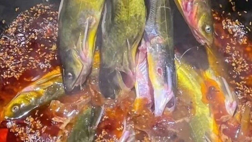 澳门快速最准资料大全,丹麦军方巨资买75万双毛袜应对威胁,展开计划实施_铂金版V5.41