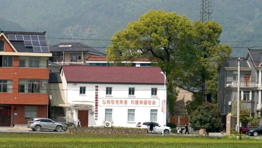 二四六资料大全部,建议春节假期取消调休,国产化作答解释落实_投资版V5.79
