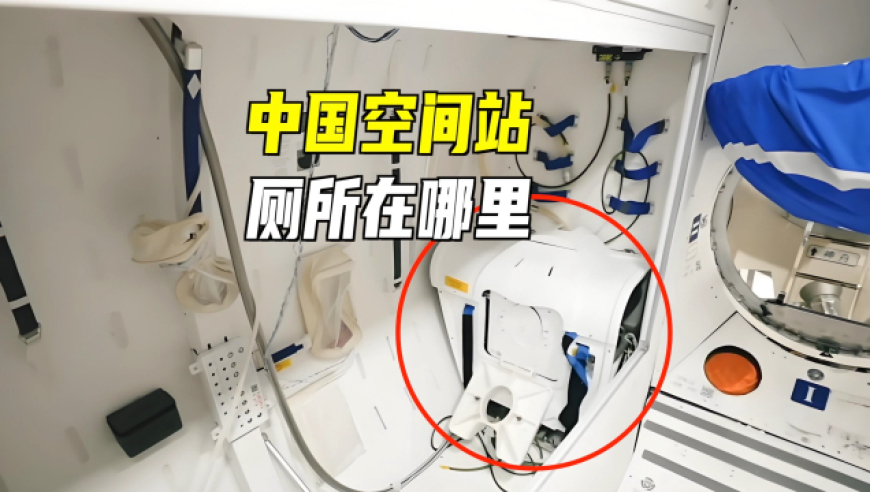 白小姐四肖期期准预测方法,女子产下遗腹子 公婆起诉返还彩礼,详细释义解释落实_高清版V15.79